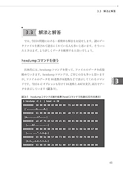 ＩＰ／セキュリティ／ネットワ-ク構築実践ノウハウ 要点チェック式/ＩＥインスティテュ-ト/内田昌宏（単行本） Amazon.co.jp: LAN - ネットワーク: 本